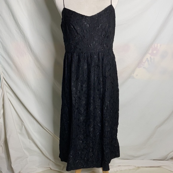 Cynthia Steffe Spaghetti Strap Lace Flare Dress - Picture 4 of 7